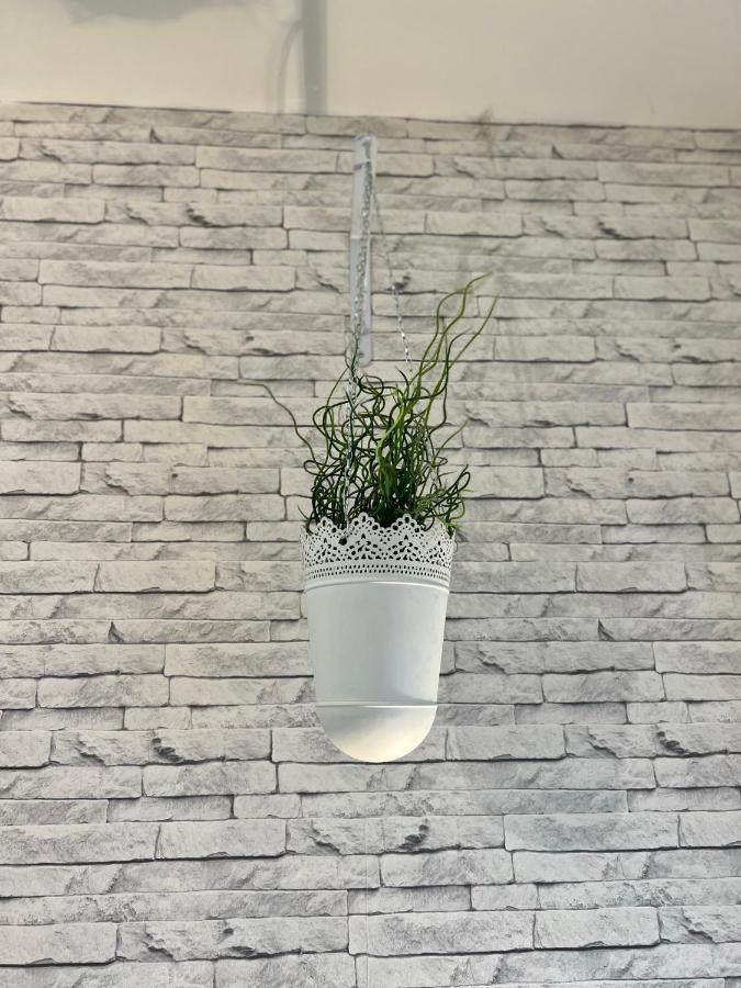 Le Clos Chassaing N1 - Wifi - Centre Ville-Property Rental Nm Périgueux Dış mekan fotoğraf